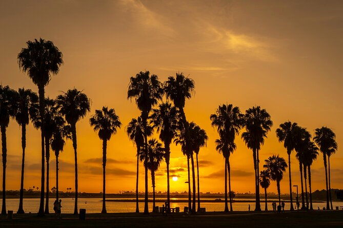 Private Trip Los Angeles, Beverly Hills, Hollywood From Anaheim - What’s Included & How It Shapes Your Experience