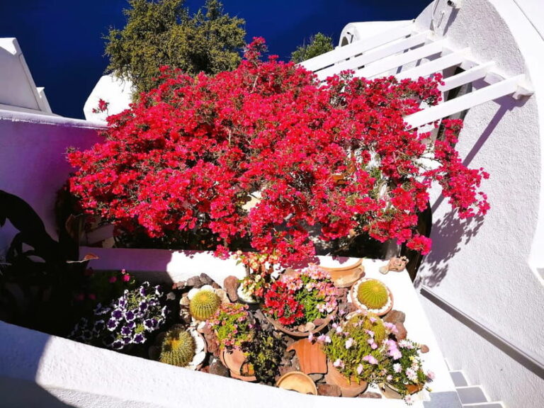Private Unseen Authentic Santorini Half Day Shore Excursion - An In-Depth Look at the Experience