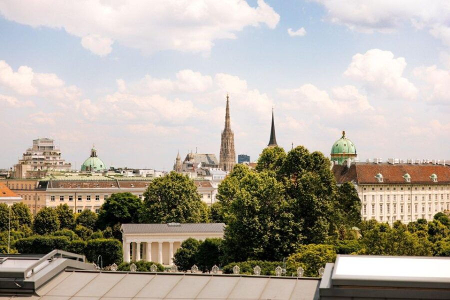 Private Vienna City Tour incl. Schönbrunn Palace by Minivan - Who Should Opt for This Tour?