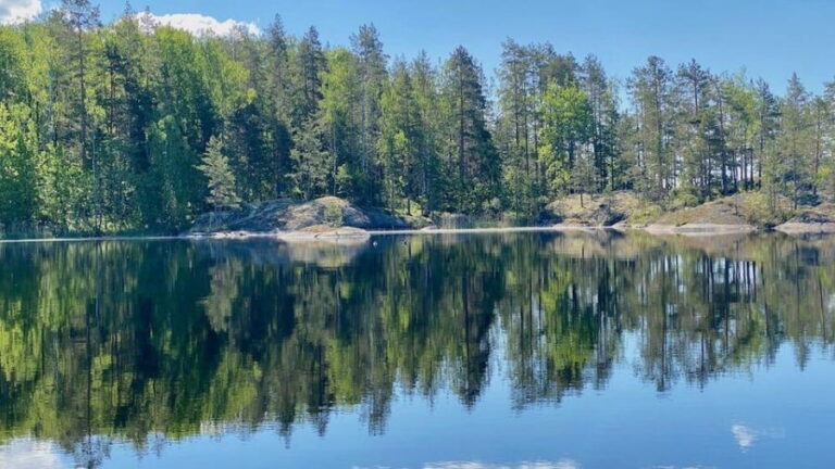 Puumala: Lake Saimaa Seal Watching Cruise - Who Will Love This Tour?