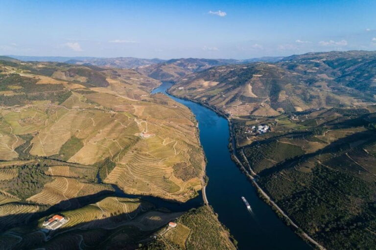 Régua: Wine Tasting at a Farm, Traditional Lunch, Cruise and Train - Final Thoughts