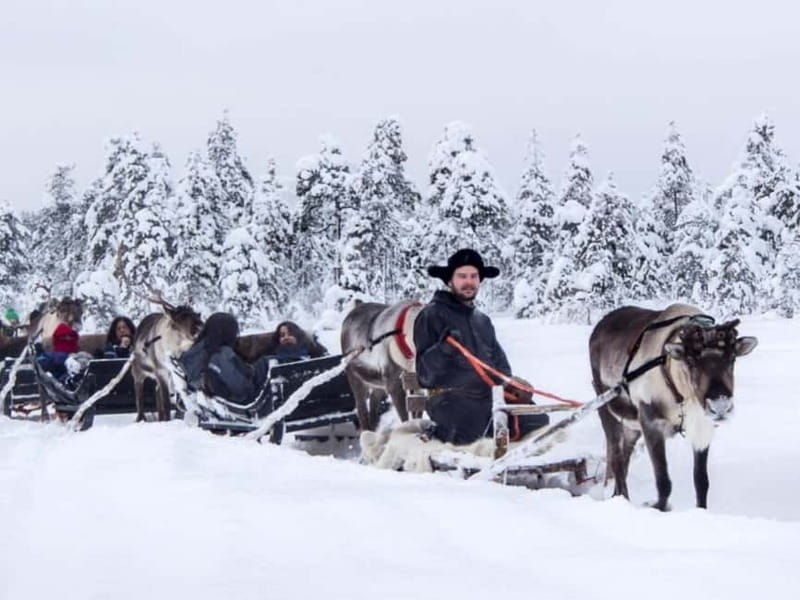 Reindeer Safari at a 200-Year-Old Farm & Long Sled Ride - Who Should Book This Tour?