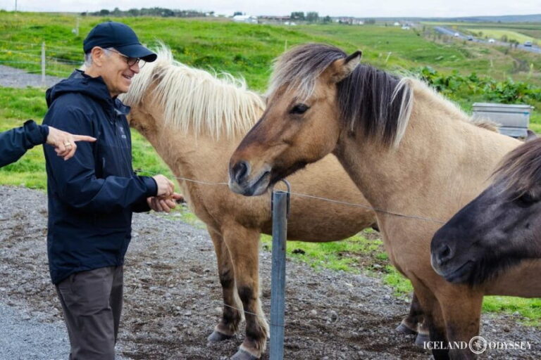 Reykjavik: Golden Circle with Laugarvatn Fontana Admission - FAQ