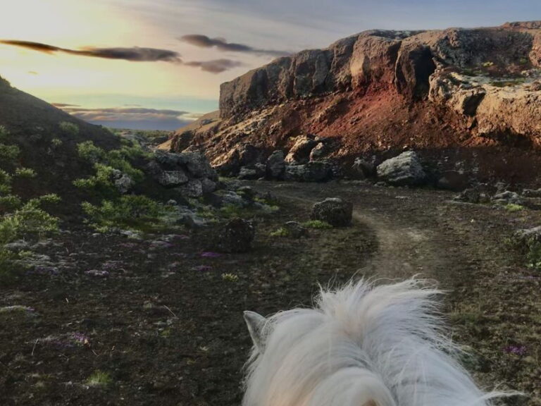 Reykjavik: Small-Group Horse Volcano Riding Tour with Pickup - The Sum Up