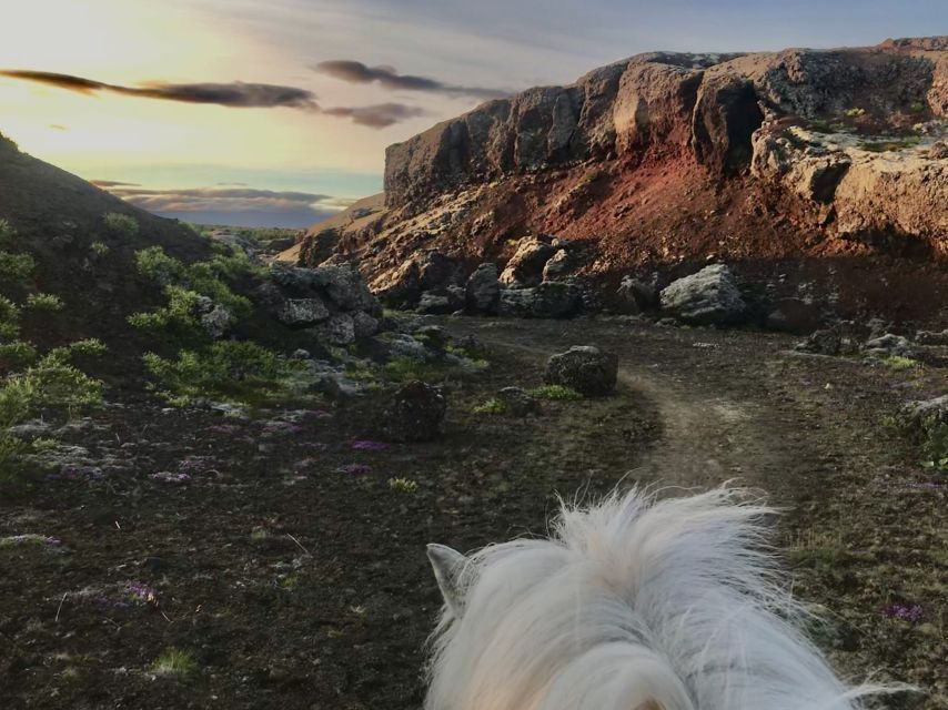 Reykjavik: Small-Group Horse Volcano Riding Tour with Pickup - The Sum Up