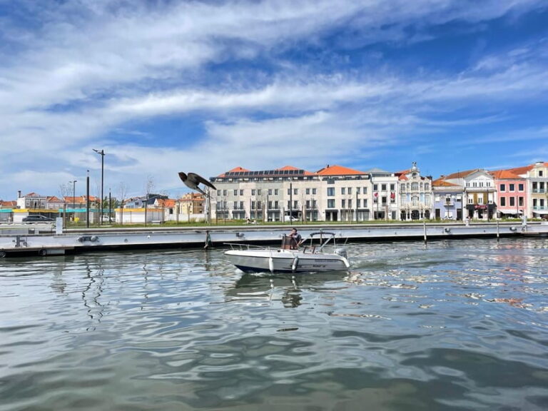 Ria de Aveiro Wakeboard Experience - Who is This Tour Best For?