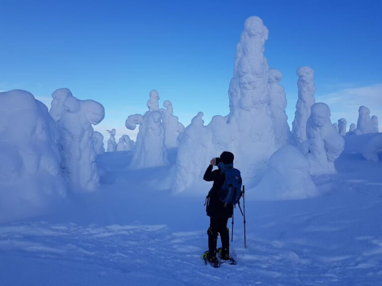 Riisitunturi National Park Snowshoe Experience - A Closer Look at the Small Details