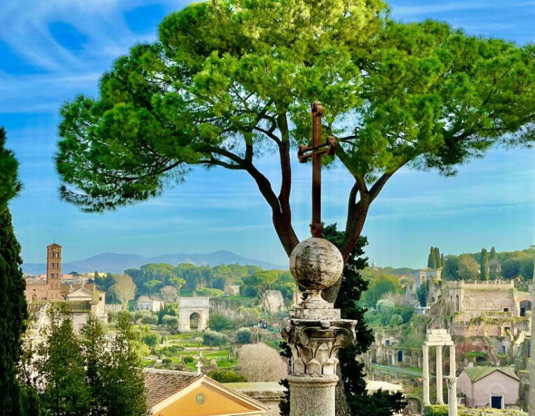 Rome: 1-Day City Highlights & Colosseum Private Guided Tour - Transportation and Logistics