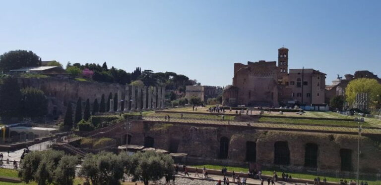 Rome: Colosseum Arena, Forum & Palatine Hill Private tour - A Deep Dive into the Experience