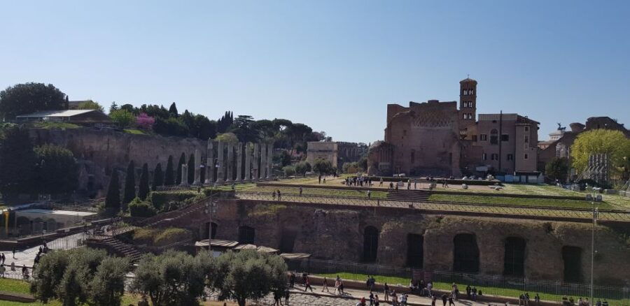 Rome: Colosseum Arena, Forum & Palatine Hill Private tour - A Deep Dive into the Experience