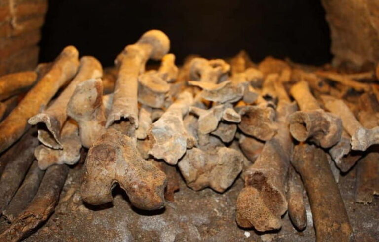 Rome: Half Day Tour to Discover the Underground Secrets - Frequently Asked Questions  
