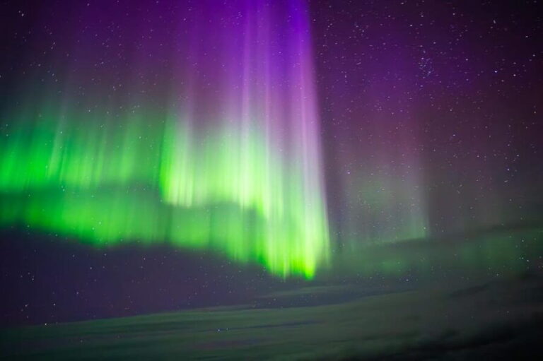 Rovaniemi: Aurora Ice Skating Tour - Authentic Insights from Reviewers