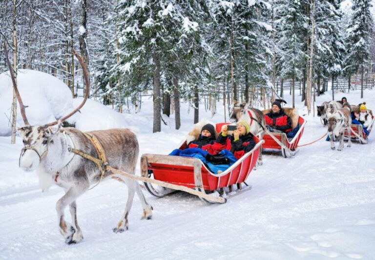 Rovaniemi: Authentic Reindeer Farm Visit and Sleigh Ride - A Closer Look at the Reindeer Experience
