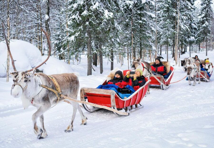 Rovaniemi: Authentic Reindeer Farm Visit and Sleigh Ride - A Closer Look at the Reindeer Experience