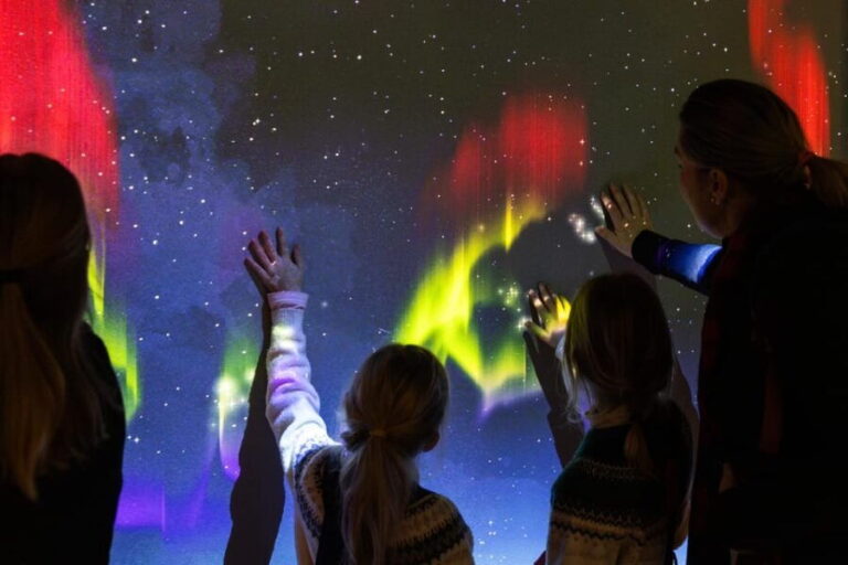 Rovaniemi: Culture Pass to Arktikum, Korundi, and Pilke - Practical Details and Tips for Making the Most of the Pass