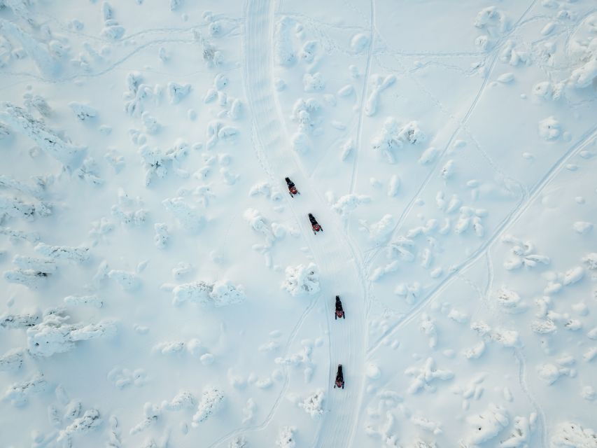 Rovaniemi: Full Day Snowmobile Safari into the Wilderness - Who Will Love This Experience?