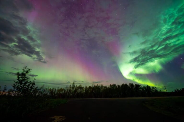 Rovaniemi: Guaranteed Ultimate Aurora Hunt with Photographer - What to Expect from the Tour