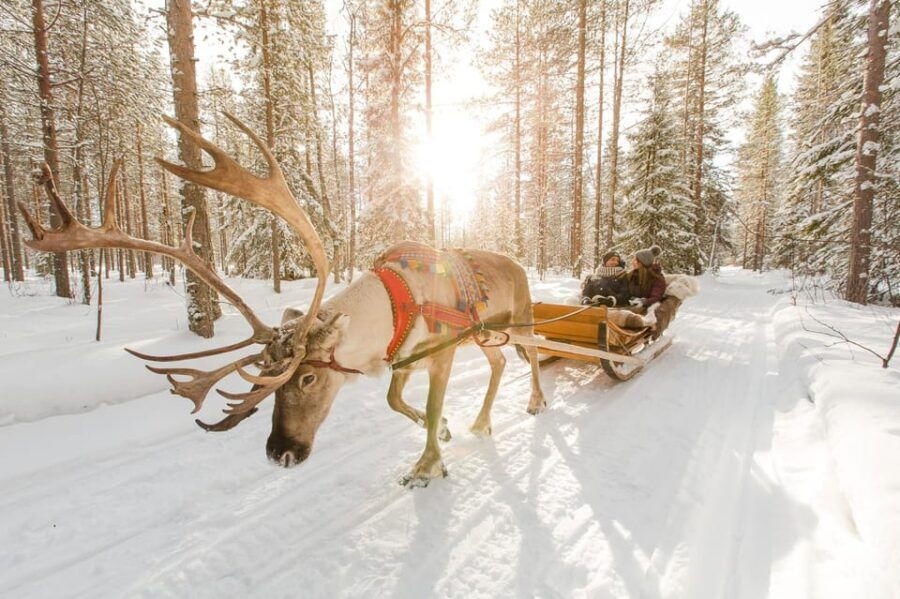 Rovaniemi: Husky and Reindeer farm with sleigh ride - Practical Details and Tips