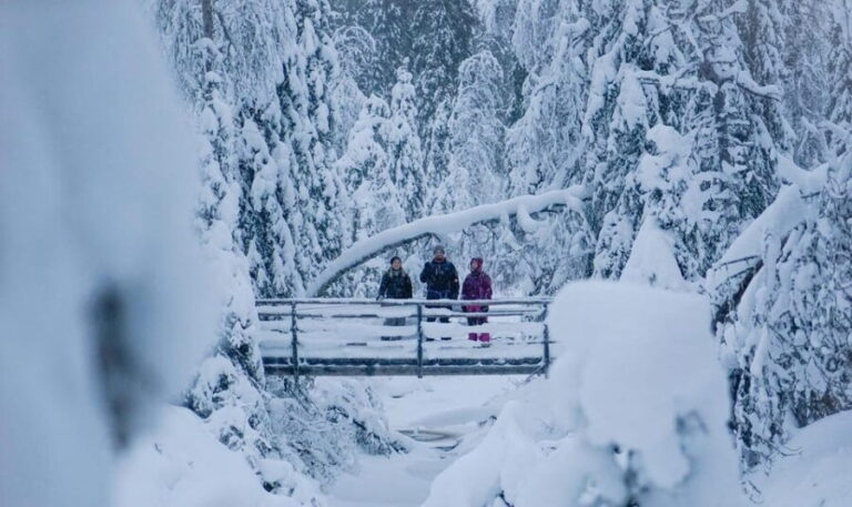 Rovaniemi: Korouoma Canyon and Frozen Waterfalls Tour - Final Thoughts: Is It Worth It?