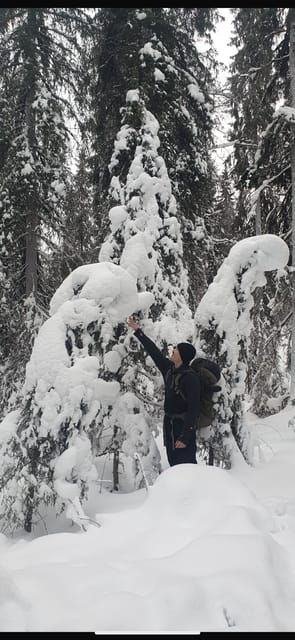 Rovaniemi: Korouoma Canyon Frozen Waterfalls Day Trip - The Guided Hike: Exploring the Frozen Landscape