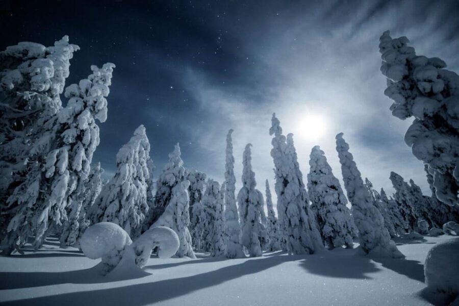 Rovaniemi: Reindeer Safari and Northern Lights Tour - What’s Included and What to Keep in Mind