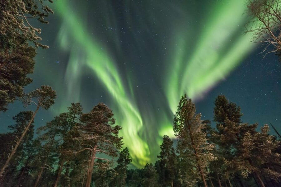 Rovaniemi: Snowy Forest Night Hike with Northern Lights - The Northern Lights: A Potential Spectacle