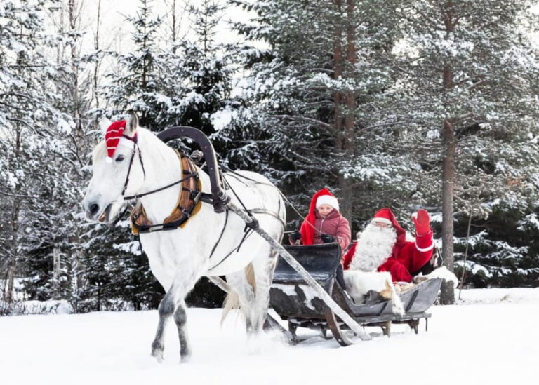 Rovaniemi: Traditional Finnhorse Sleigh Ride at SCV (3km) - Why Choose This Tour?