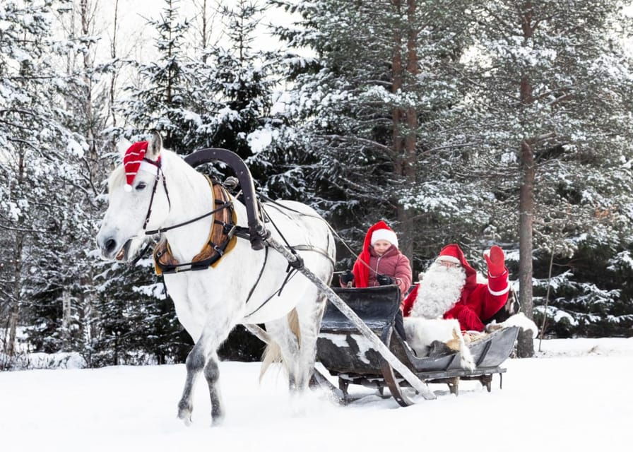 Rovaniemi: Traditional Finnhorse Sleigh Ride at SCV (3km) - Why Choose This Tour?