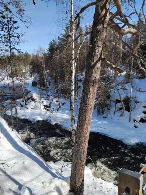 Ruka: Oulanka National Park Kìutaköngäs with lunch. - The Value of the Tour