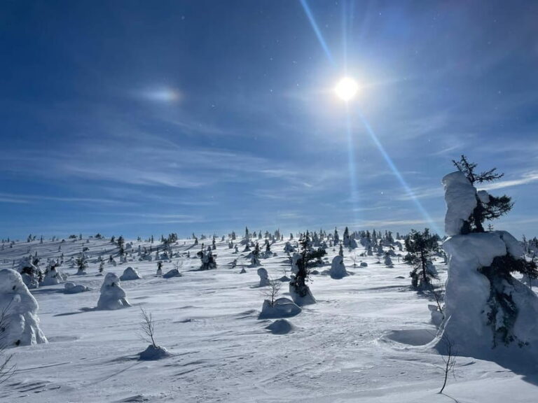 Ruka: Riisitunturi National Park with lunch. - An In-Depth Look at the Tour Experience