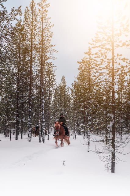 Saariselkä: Arctic Trail Horse Riding Tour - What the Ride Entails