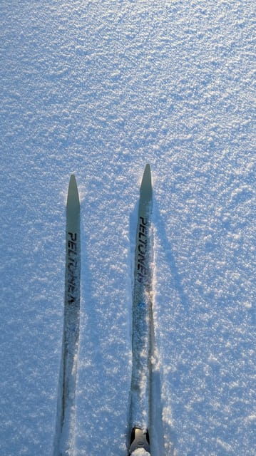 Saariselkä: Back-Country Skiing Guided Tour - Practical Details and Value