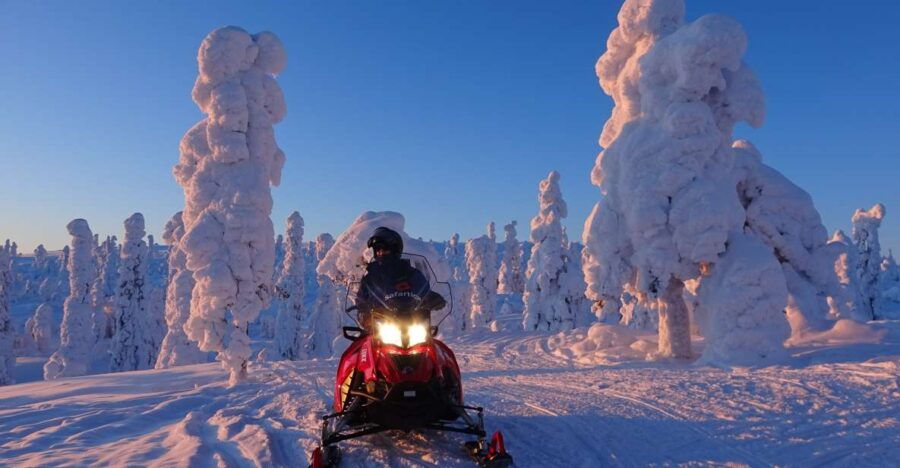 Saariselkä: Evening Snowmobile Tour with Fire & picnic - Comfort, Safety, and Practicalities