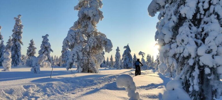 Saariselkä: Guided Fatbike Tour - Practical Details and What to Prepare