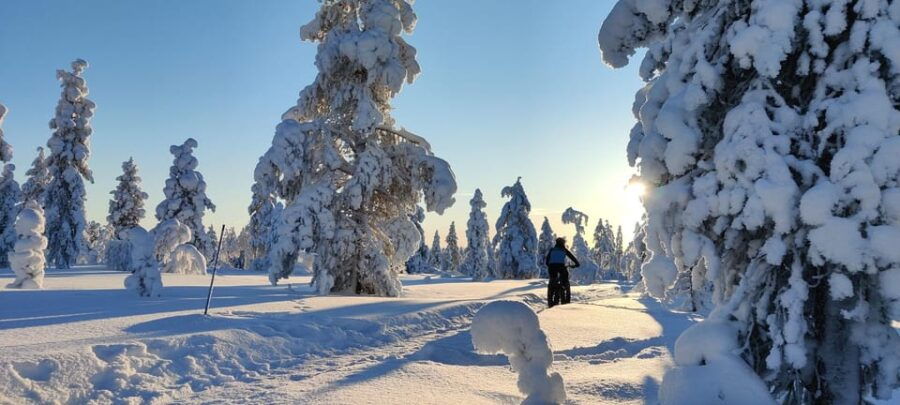 Saariselkä: Guided Fatbike Tour - Practical Details and What to Prepare