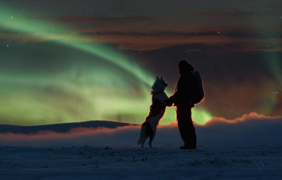 Saariselkä: Husky Safari with Aurora Borealis Hunt - Detailed Tour Breakdown