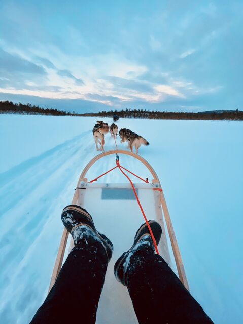 Saariselkä: Husky Safari with kennel visit - Authentic Experiences and Guest Insights