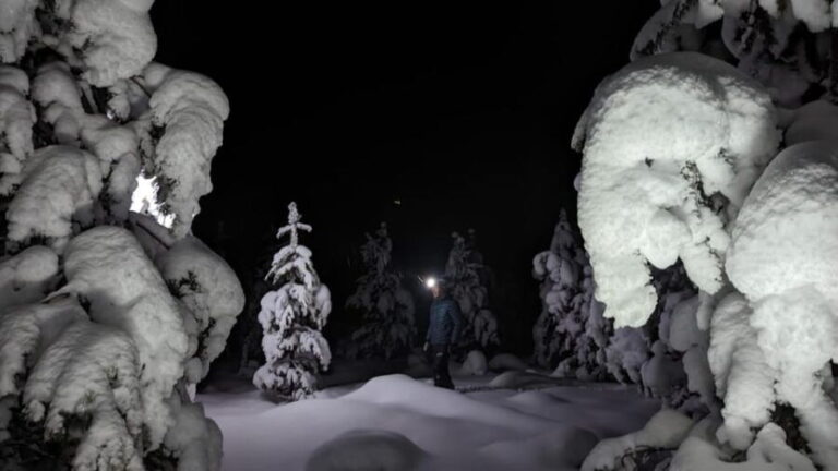 Saariselkä: Snowshoeing Tour in Urho Kekkonen National Park - FAQs  
