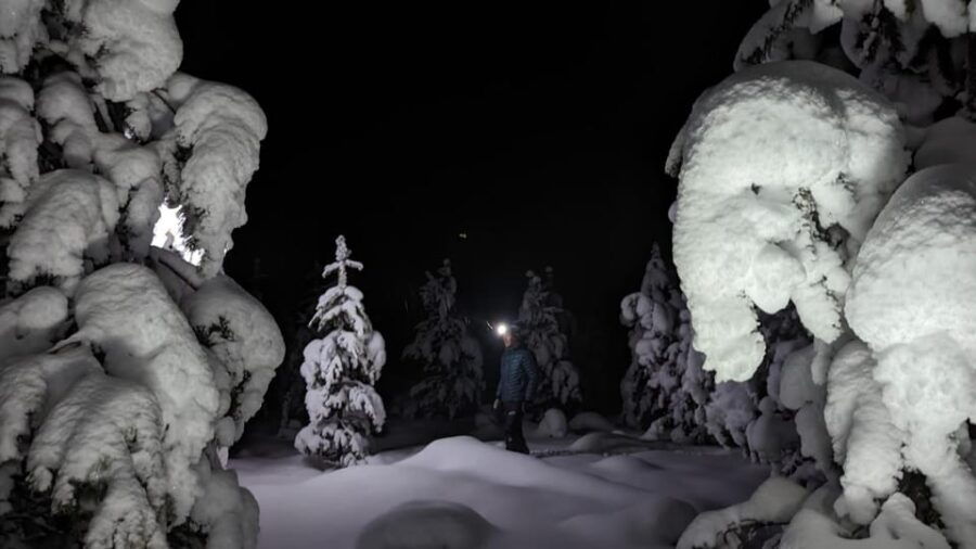 Saariselkä: Snowshoeing Tour in Urho Kekkonen National Park - FAQs  