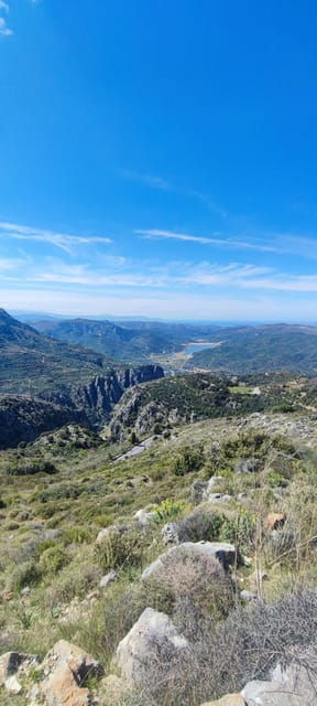 Safari:Lasithi plateau, Mythology park,olive oil tasting - Practical Aspects and Value