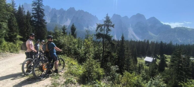 Salzkammergut: Guided e-bike tour to the alpine pastures in Gosau and Hallstatt - What’s included and whats not