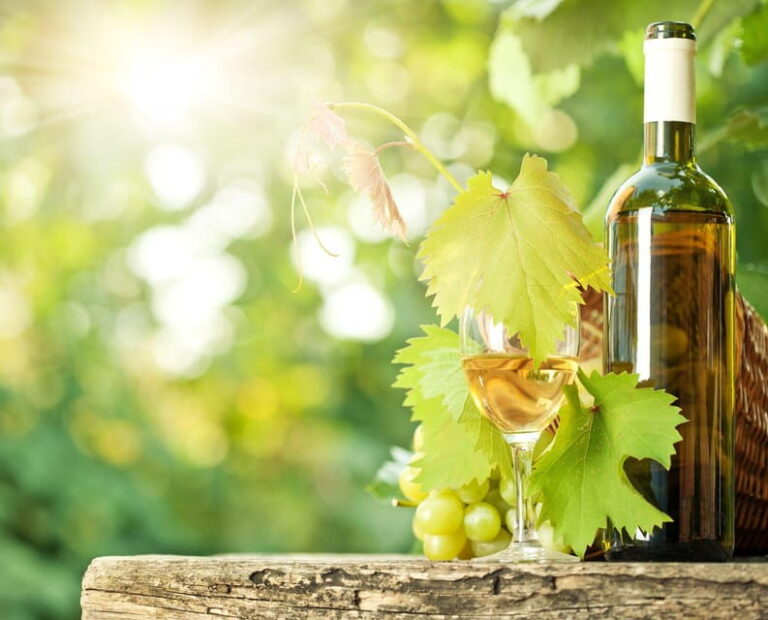 San Gimignano and a Winery with Light Lunch from Pisa - Scenic Drive Through the Tuscan Hills