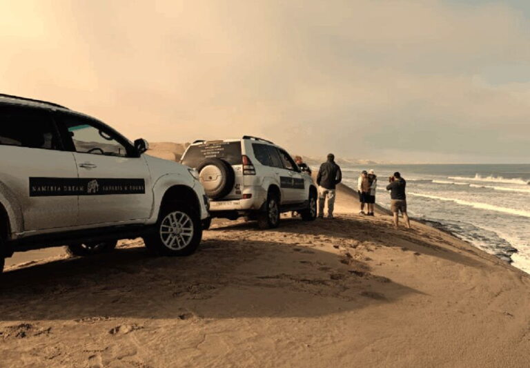 Sandwich Harbour 4x4 Guided Tour - Why This Tour Works for Different Travelers