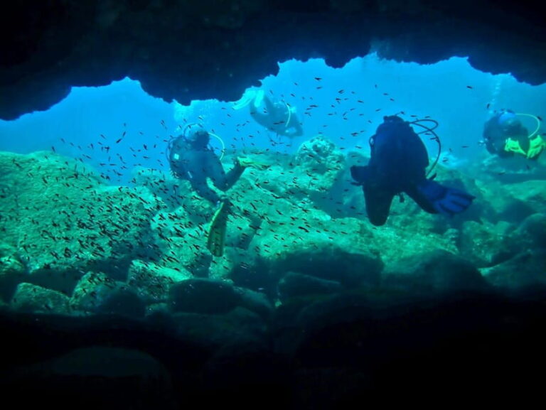 São Jorge: Scuba Diving - 2 Dives (Half Day) - The Dive Center and Equipment