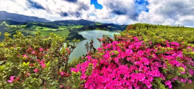 São Miguel: Furnas and Nordeste Full-Day Tour with Lunch - What Makes This Tour Stand Out?