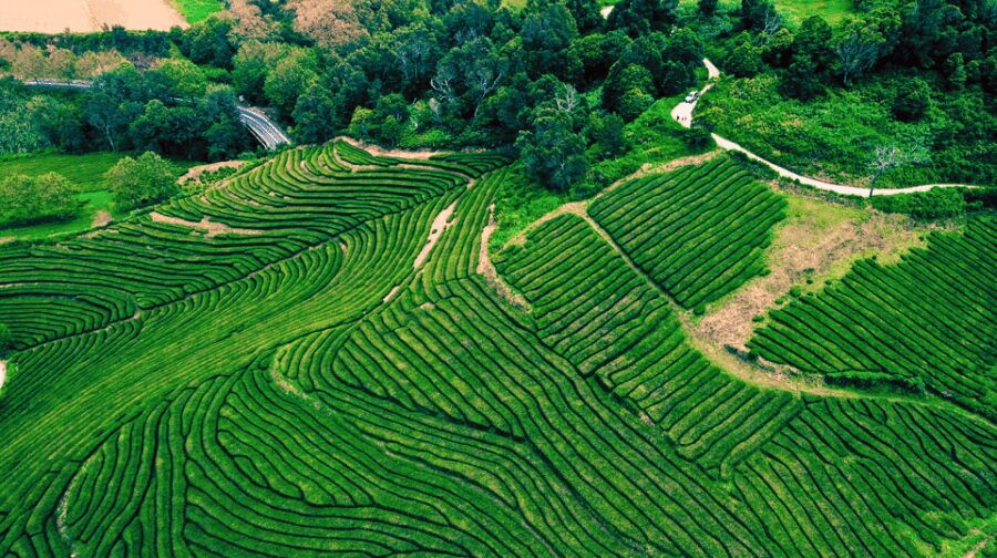 São Miguel: Majestic North Tour (Waterfalls w/Lunch) - The Practical Side: Whats Included & What to Know
