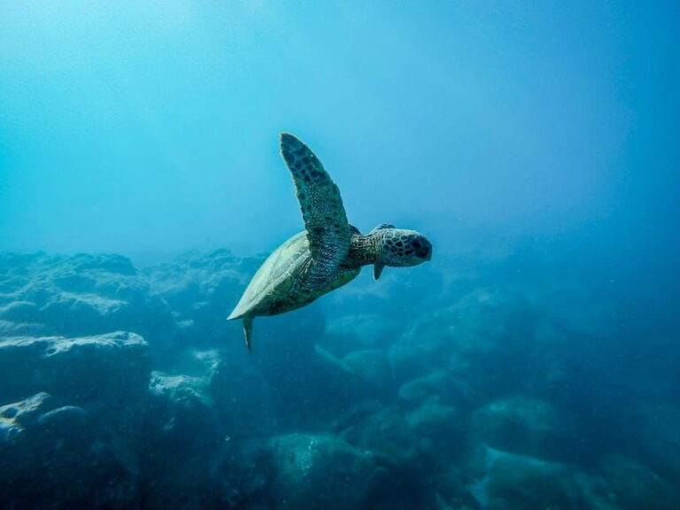 Scuba diving for beginners in crystal clear sea of Halkidiki - The Itinerary, Step by Step