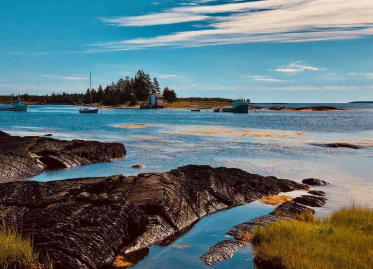 Seaweed Tours Lunenburg N.S Can UNESCO world heritage site. - The Verdict: Who Will Love This Tour?