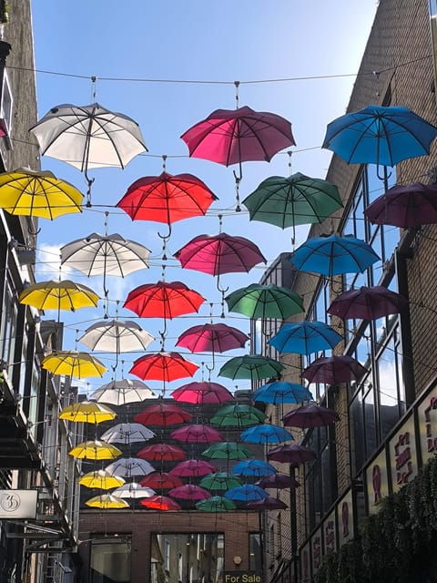 Secret and unusual Dublin: guided walking tour - The Value of a Guided Experience
