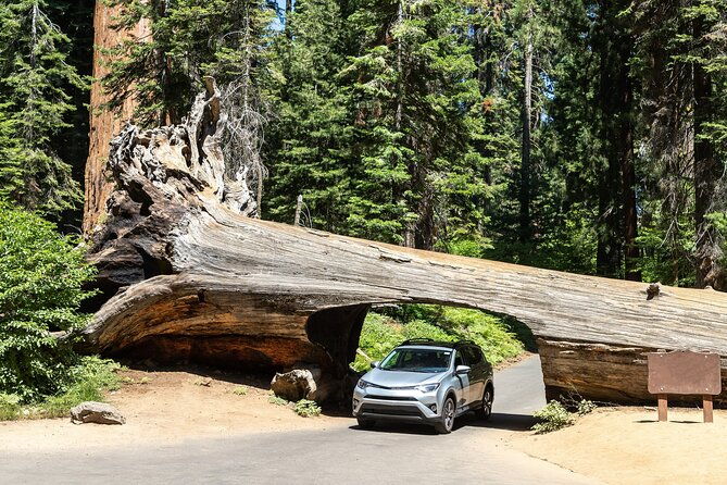 Self Guided Driving Audio Tour of Redwood National and State Park - The Practicalities